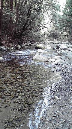 a0080156_10122966.jpg