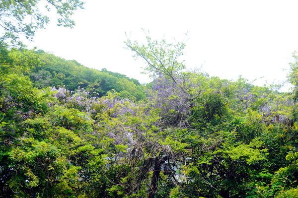 f0176458_1433868.jpg