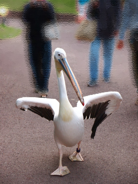c0186760_20331569.jpg