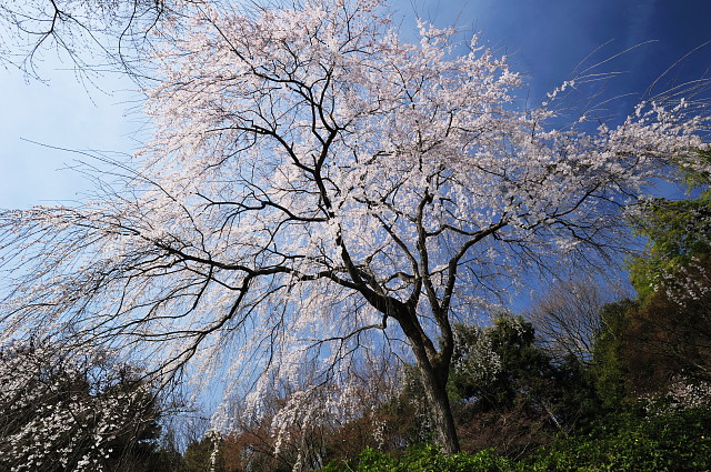 f0222161_2355420.jpg