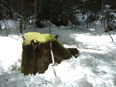 c0011862_1039157.jpg