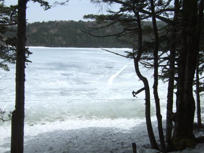 c0011862_1039263.jpg