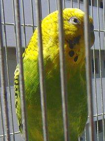 f0196665_23452756.jpg