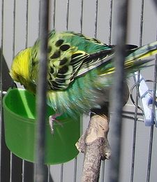 f0196665_23471364.jpg