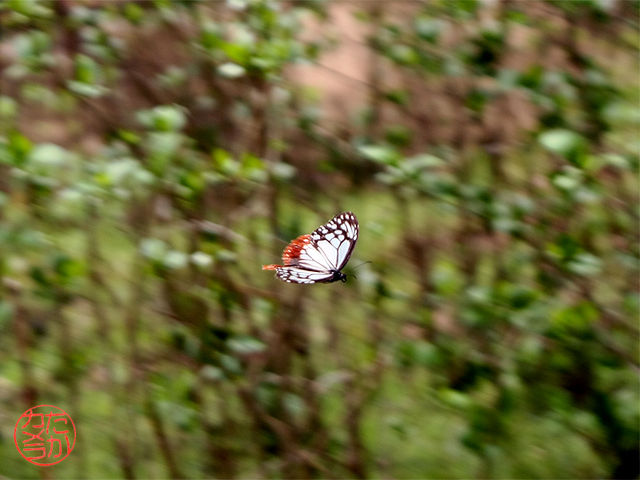 f0131866_2574943.jpg