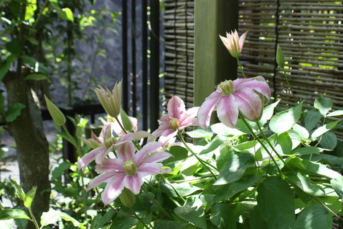 c0171468_10271929.jpg