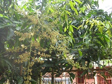b0200971_1631656.jpg
