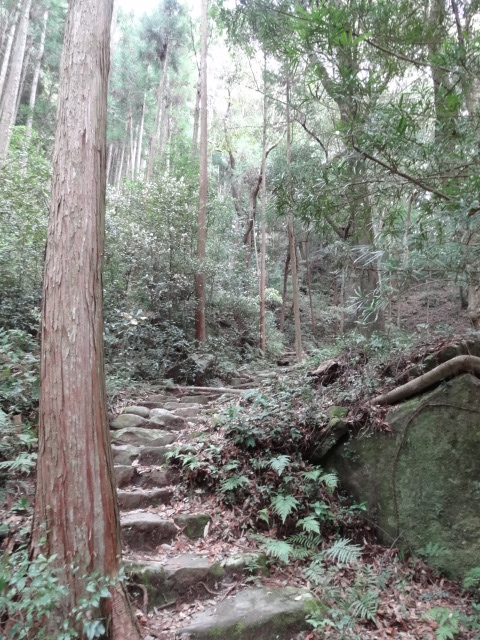 d0226273_0282325.jpg