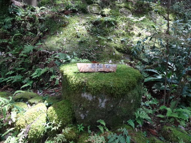 d0226273_10175612.jpg