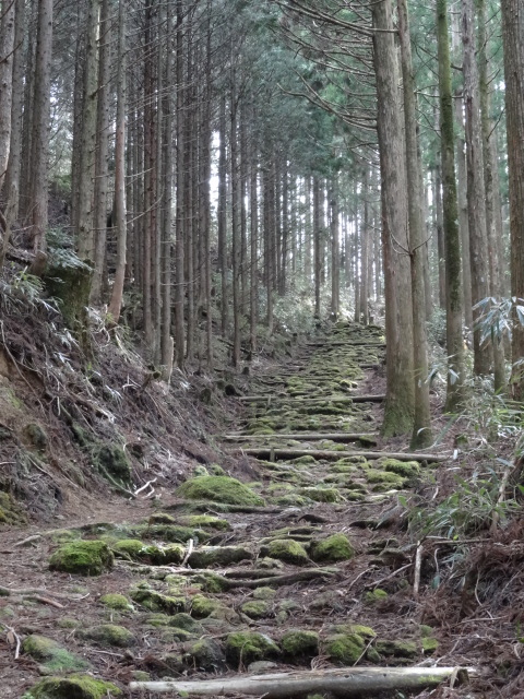 d0226273_1034661.jpg