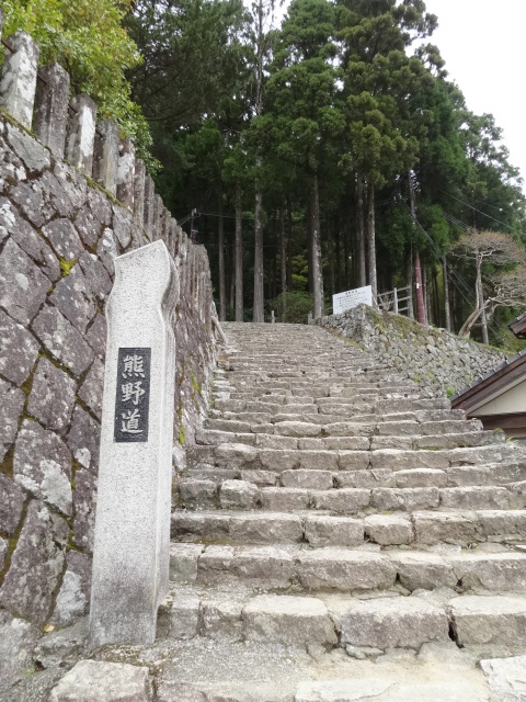 d0226273_1214016.jpg