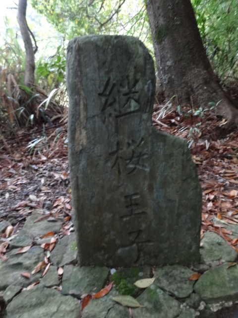 d0226273_720198.jpg