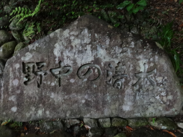 d0226273_722226.jpg