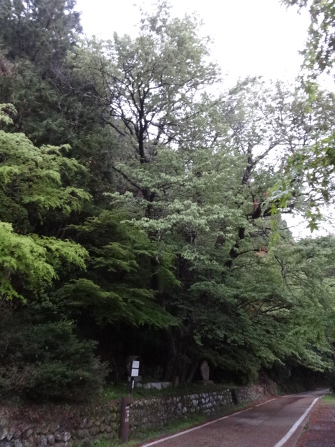 d0226273_7282251.jpg