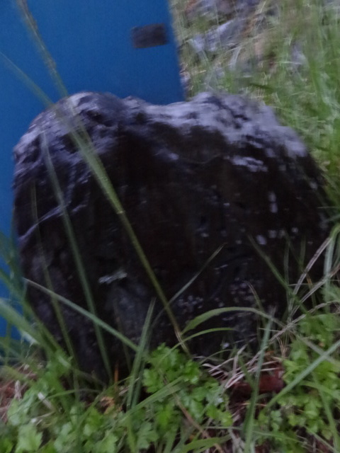d0226273_7384140.jpg