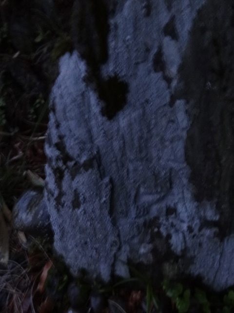 d0226273_7391720.jpg