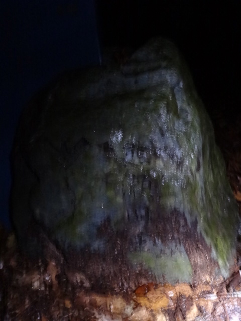 d0226273_742570.jpg