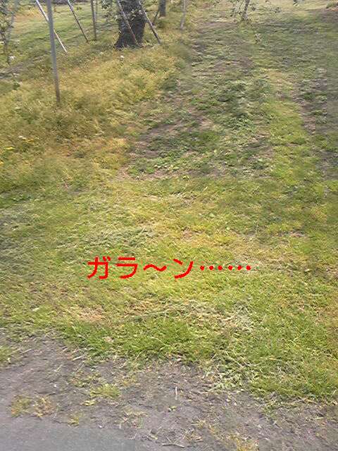 a0035074_15504656.jpg