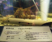 f0237680_22564392.jpg