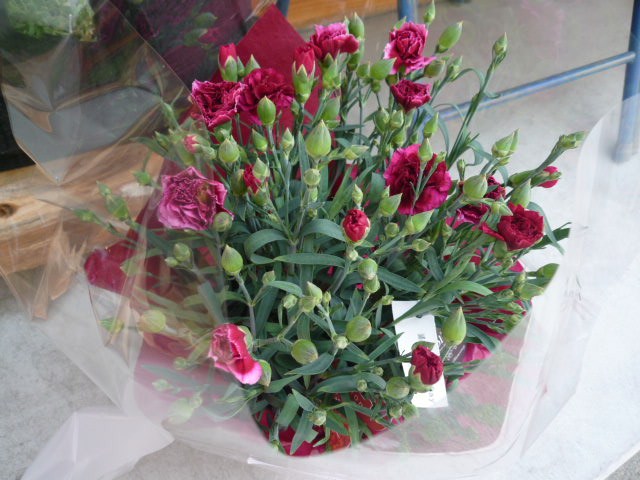 c0221885_17265749.jpg