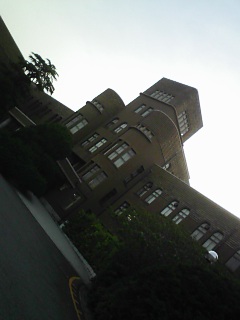 f0115787_065528.jpg