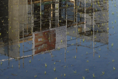c0160488_199418.jpg