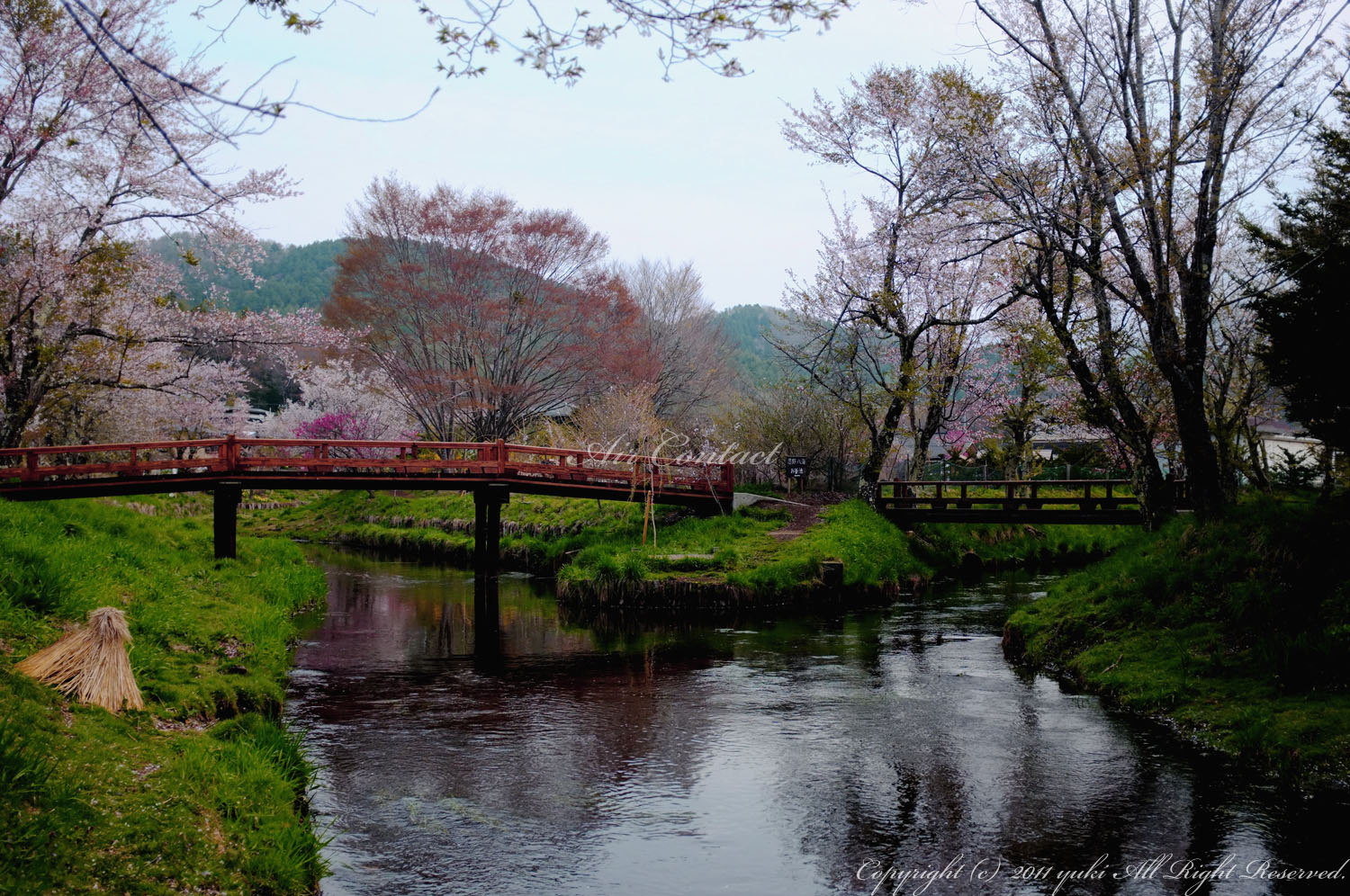 c0159490_10461989.jpg