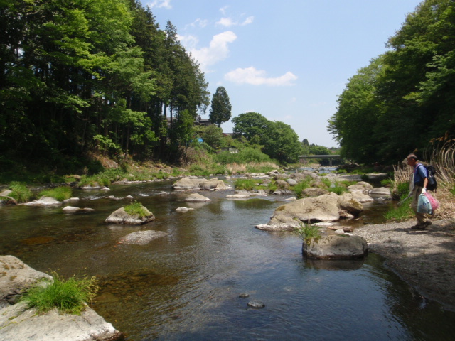 d0034291_19362741.jpg