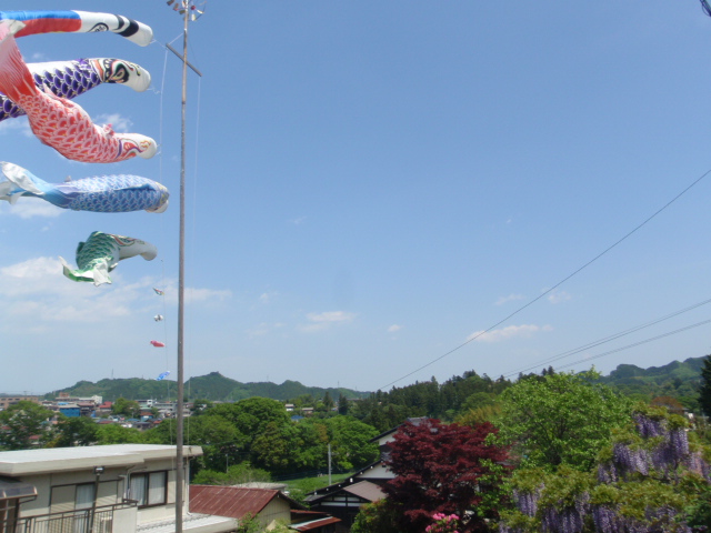 d0034291_19415131.jpg