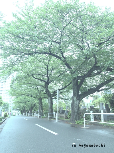 f0224192_20471829.jpg