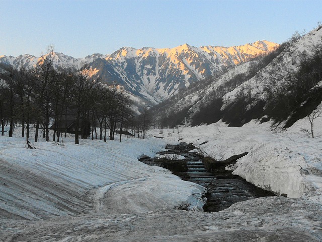 e0202393_2331828.jpg