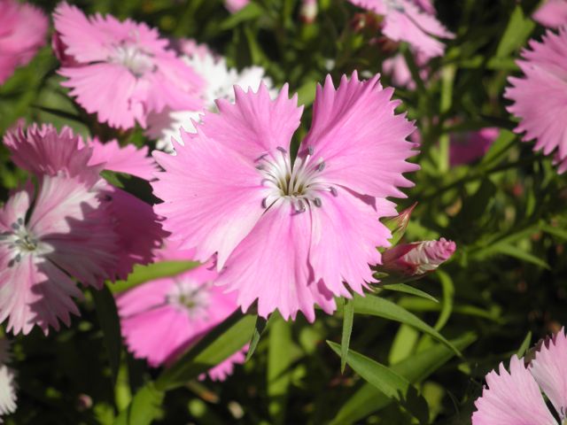 f0130894_2143486.jpg