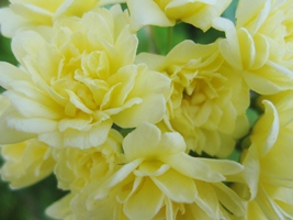 c0173697_012457.jpg