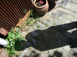 c0173697_014827.jpg