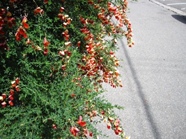 c0173697_045681.jpg