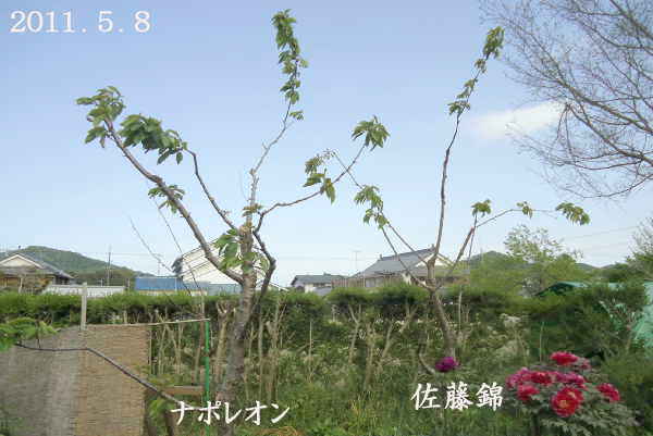 d0122497_1228133.jpg