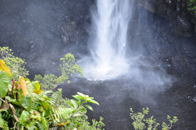 f0174198_1250237.jpg