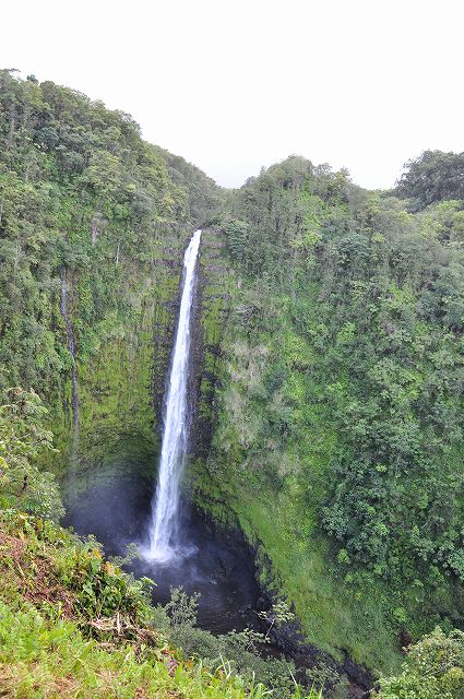 f0174198_12505729.jpg