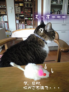 c0035001_1752721.jpg