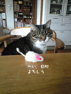 c0035001_1753385.jpg