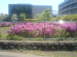 c0202101_01814.jpg