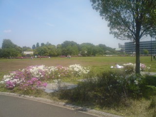 c0202101_01940.jpg