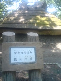 c0202101_01977.jpg