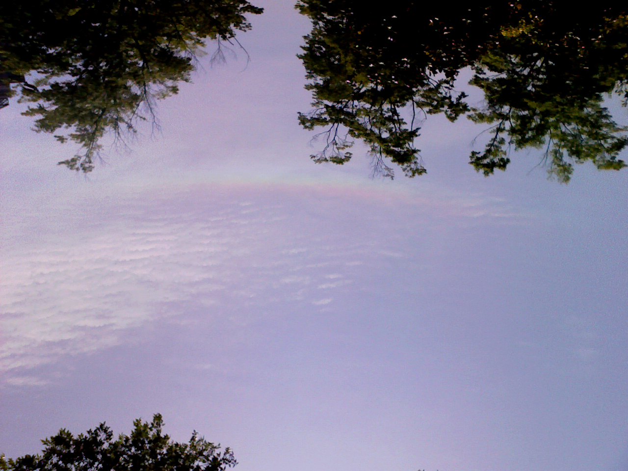 e0067502_21434479.jpg