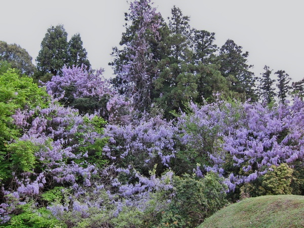 c0043403_2124659.jpg