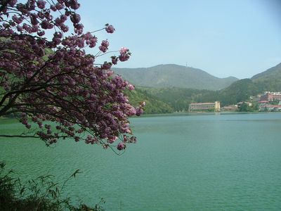 c0218303_2246954.jpg