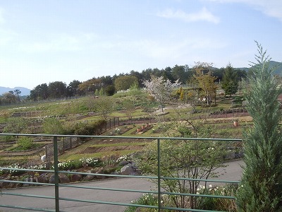 c0117007_20283038.jpg