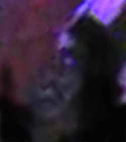 e0103408_18232651.jpg