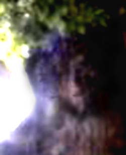 e0103408_2313572.jpg