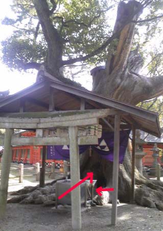 e0103408_23142.jpg